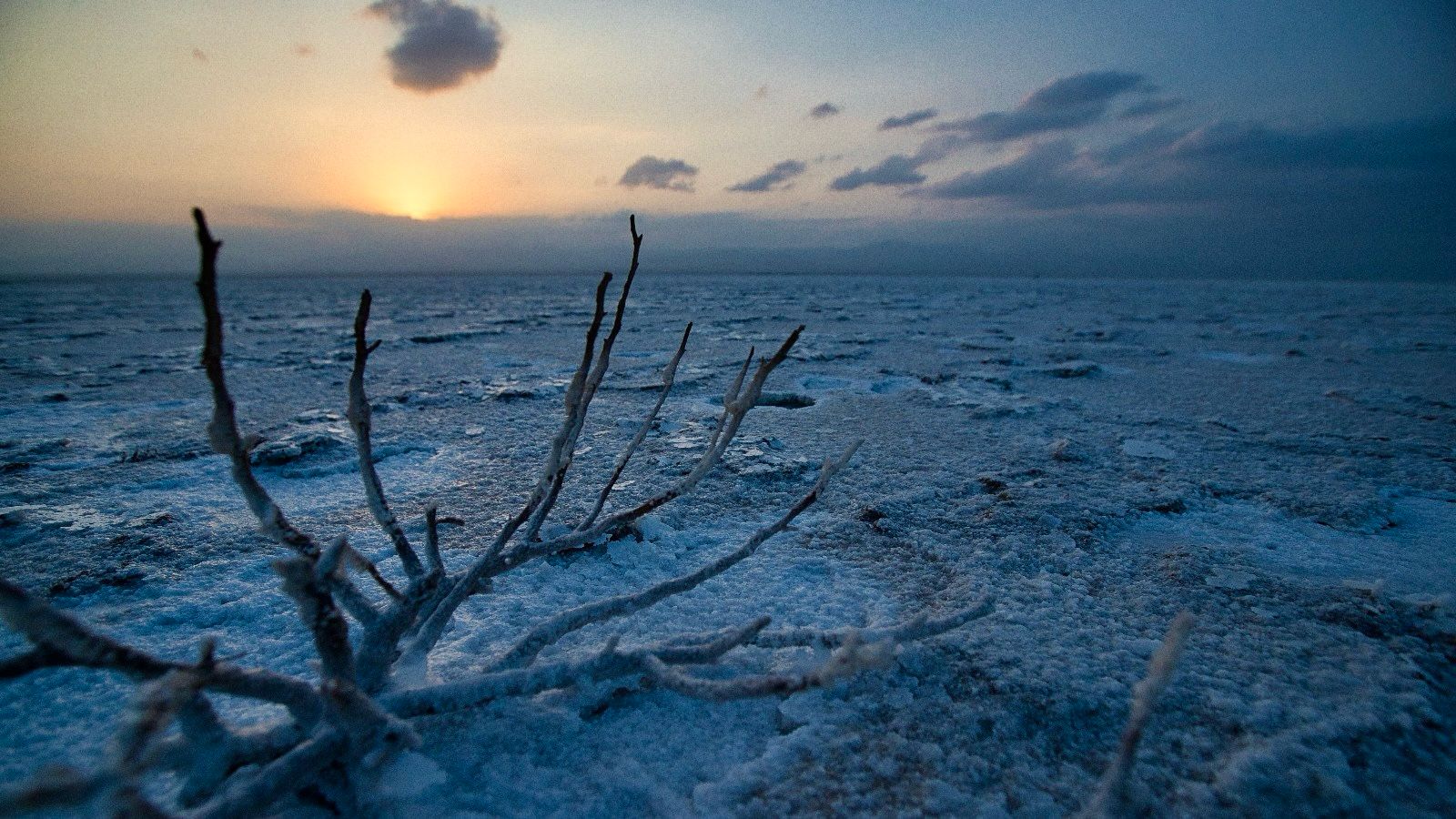 IMG-20250309-WA0011 IMG-20250309-WA0011