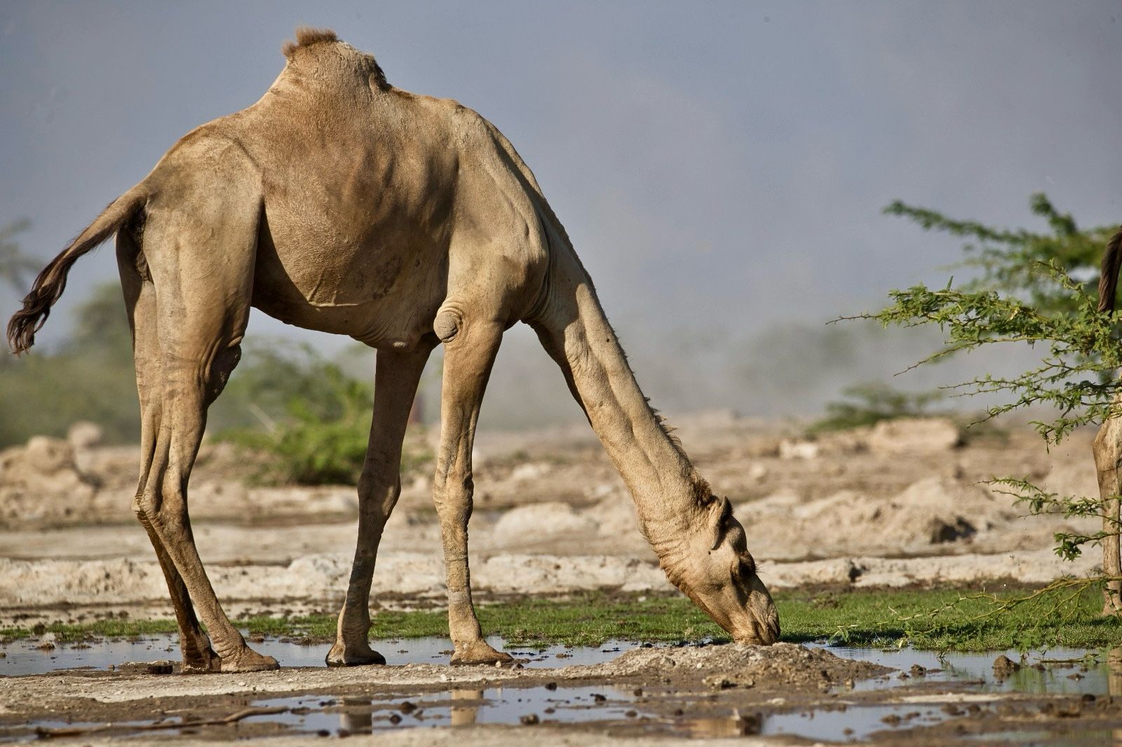 IMG-20250309-WA0029 IMG-20250309-WA0029