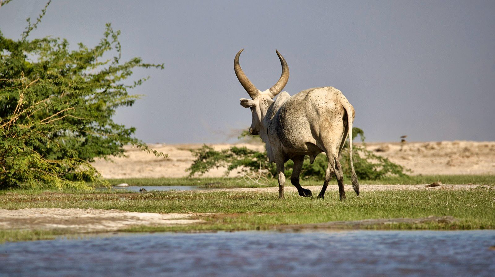 IMG-20250309-WA0031 IMG-20250309-WA0031