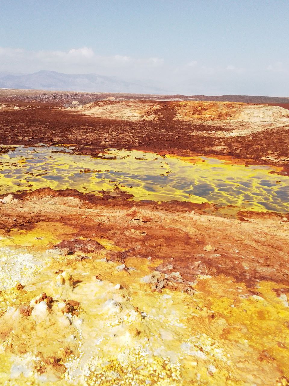 photo_2025-03-09_19-44-01