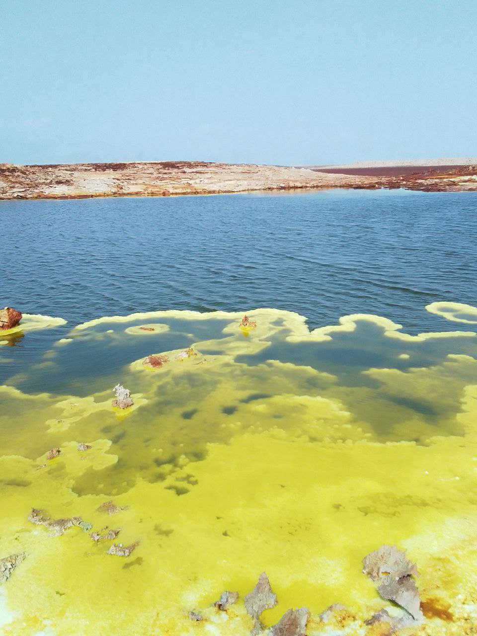 photo_2025-03-09_19-44-47
