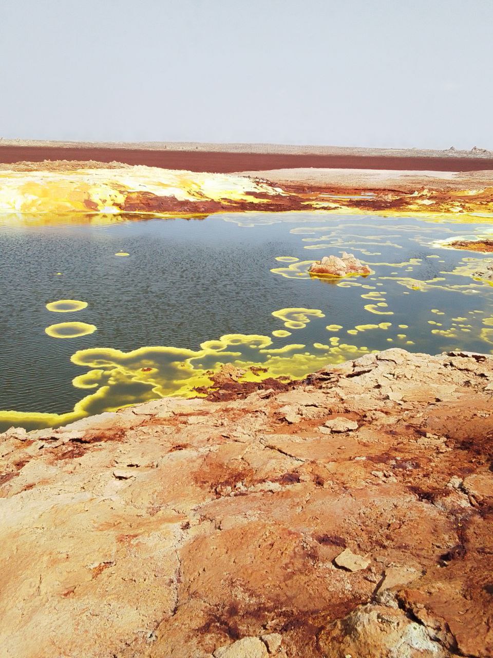 photo_2025-03-09_19-44-49