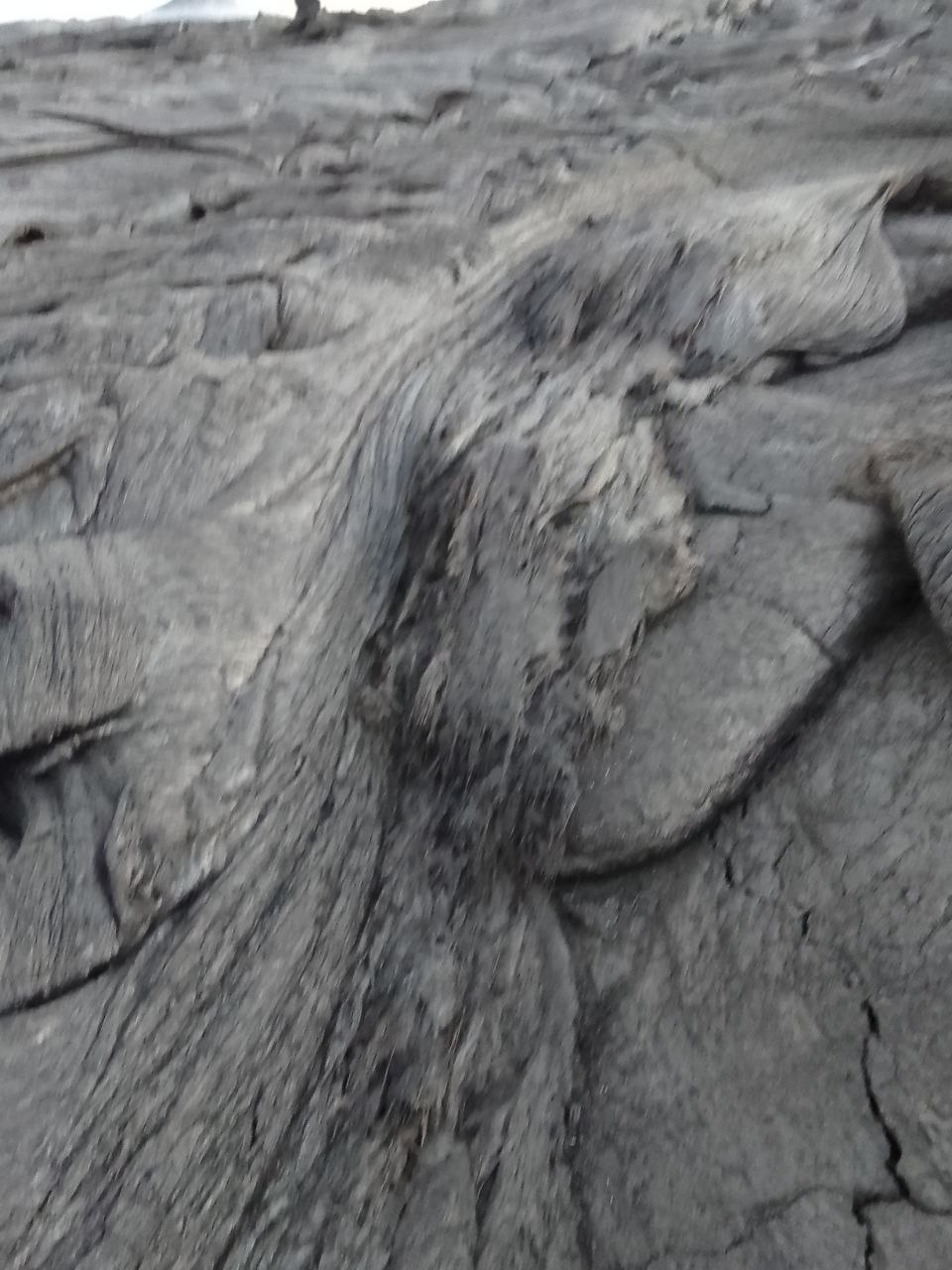 photo_2025-03-09_19-44-56