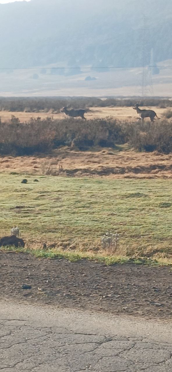 photo_2025-04-06_17-59-03