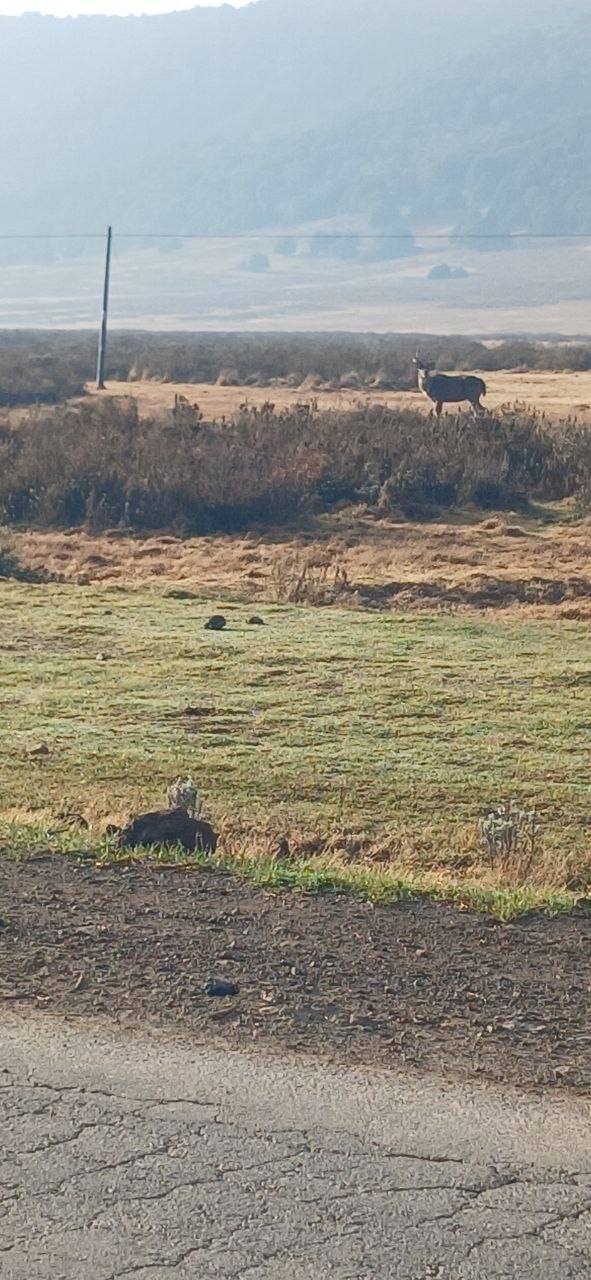 photo_2025-04-06_17-59-06