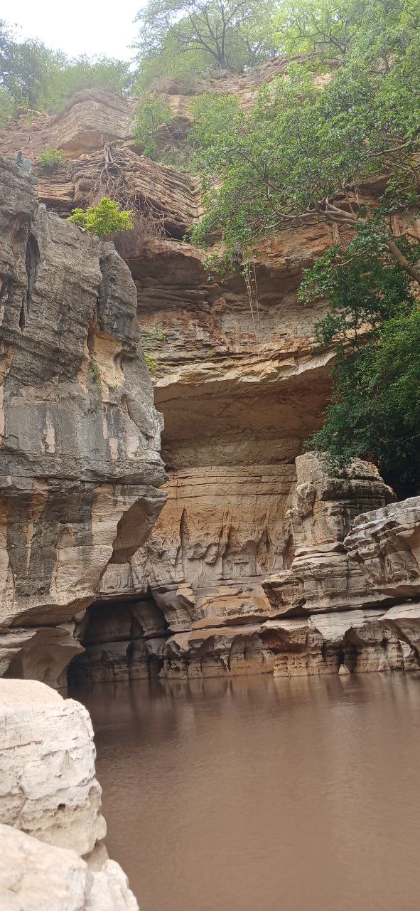 photo_2025-04-06_17-59-16