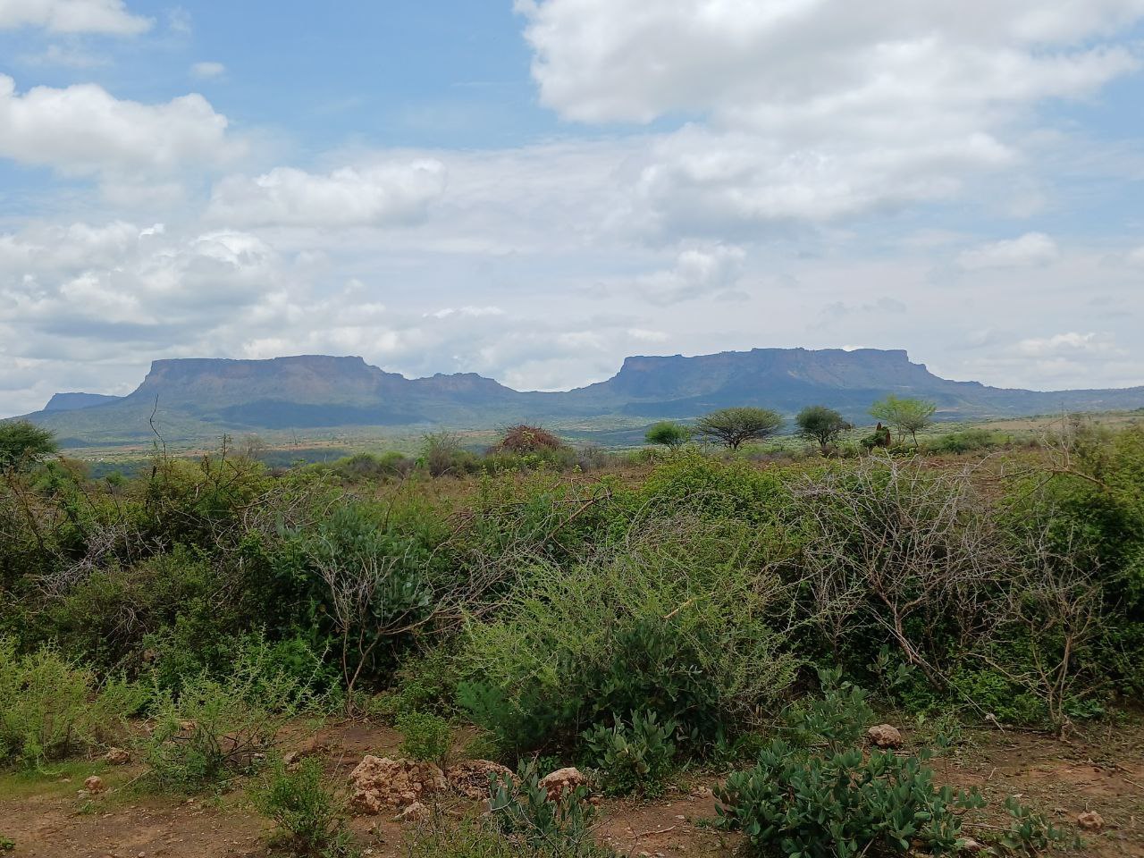 photo_2025-04-06_17-59-22