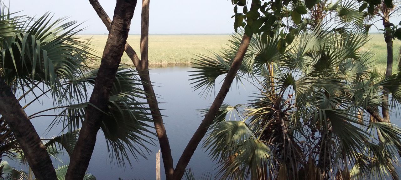 photo_2025-05-05_03-41-38