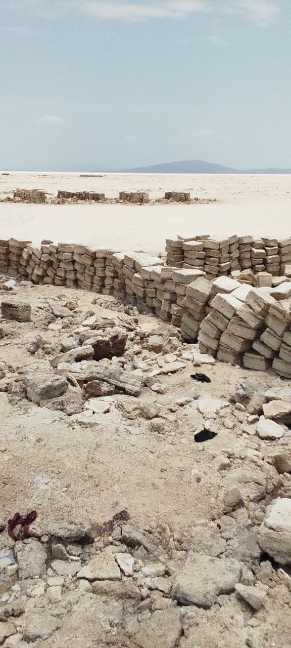 photo_2025-05-05_03-42-07