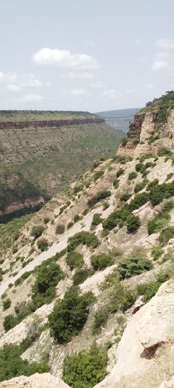 photo_2025-07-03_23-06-32