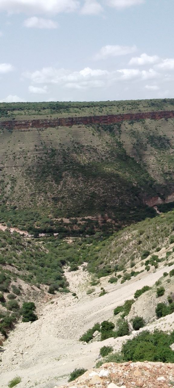 photo_2025-07-03_23-06-35