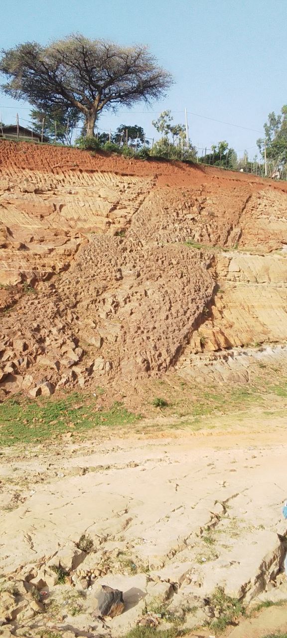 photo_2025-07-03_23-06-40