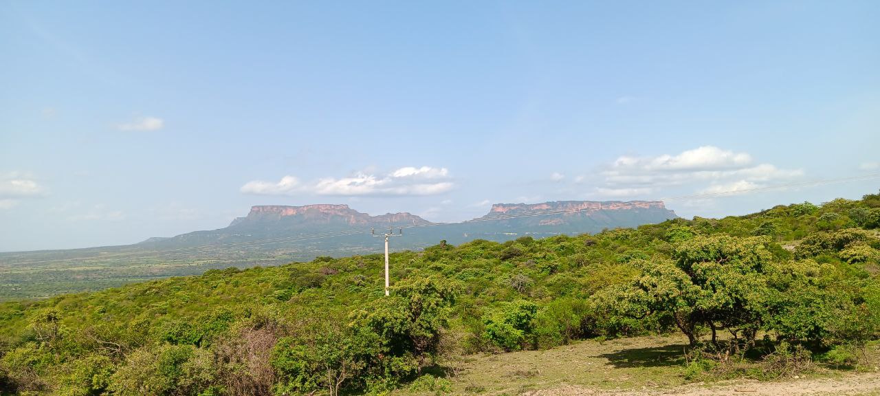 photo_2025-07-03_23-06-43