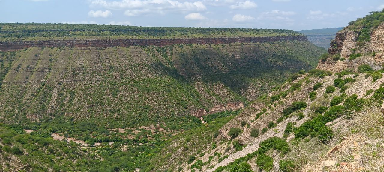 photo_2025-07-03_23-06-50