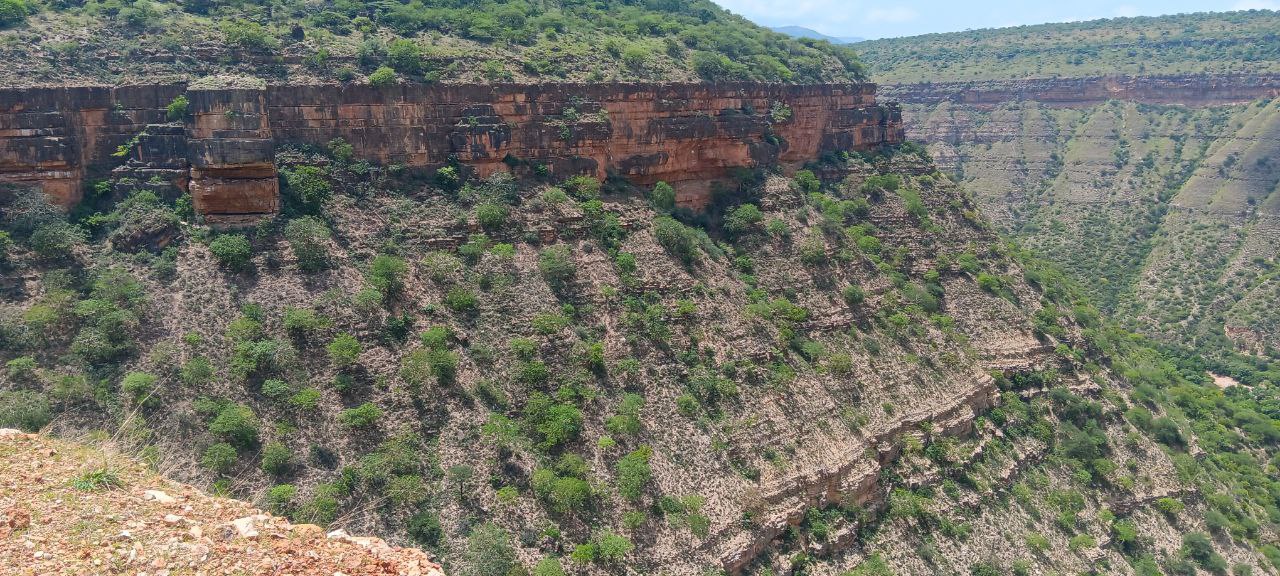 photo_2025-07-03_23-06-52
